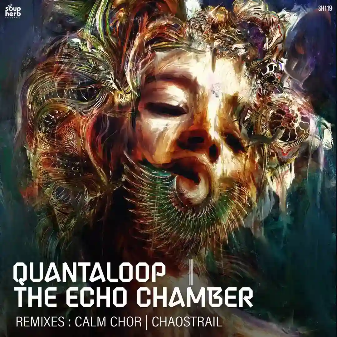 The Echo Chamber cover