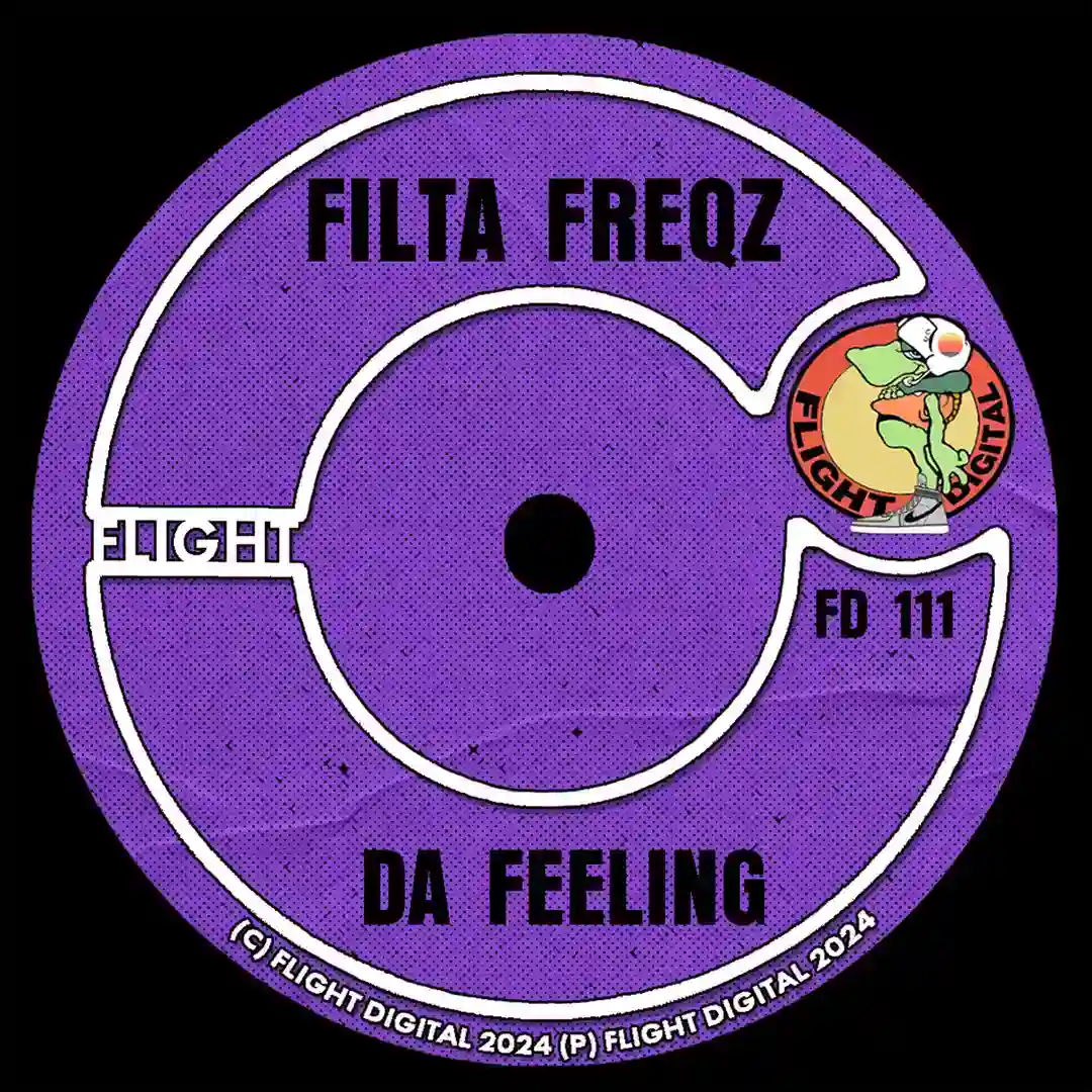 Da Feeling cover