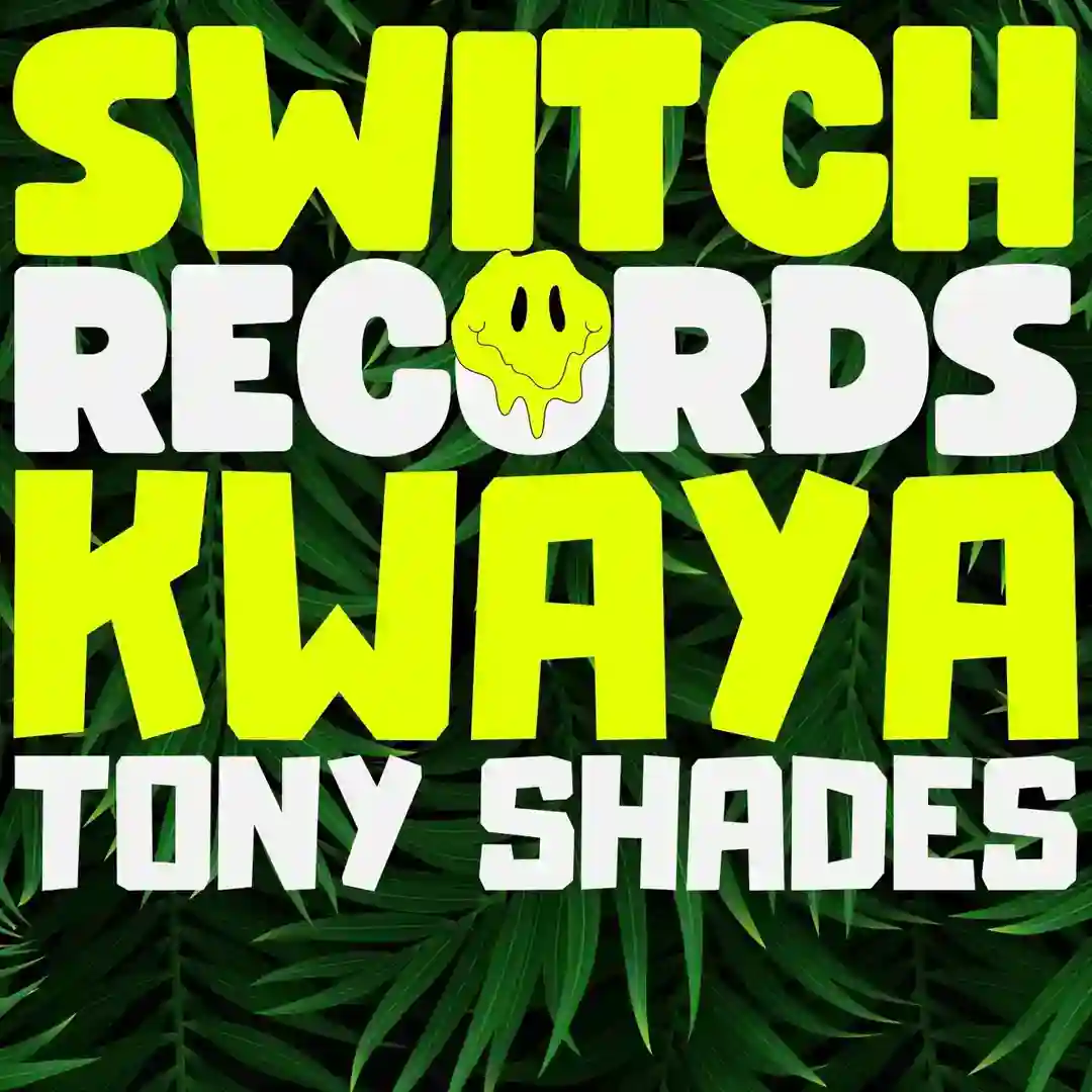 Buzaka (Original Mix) cover