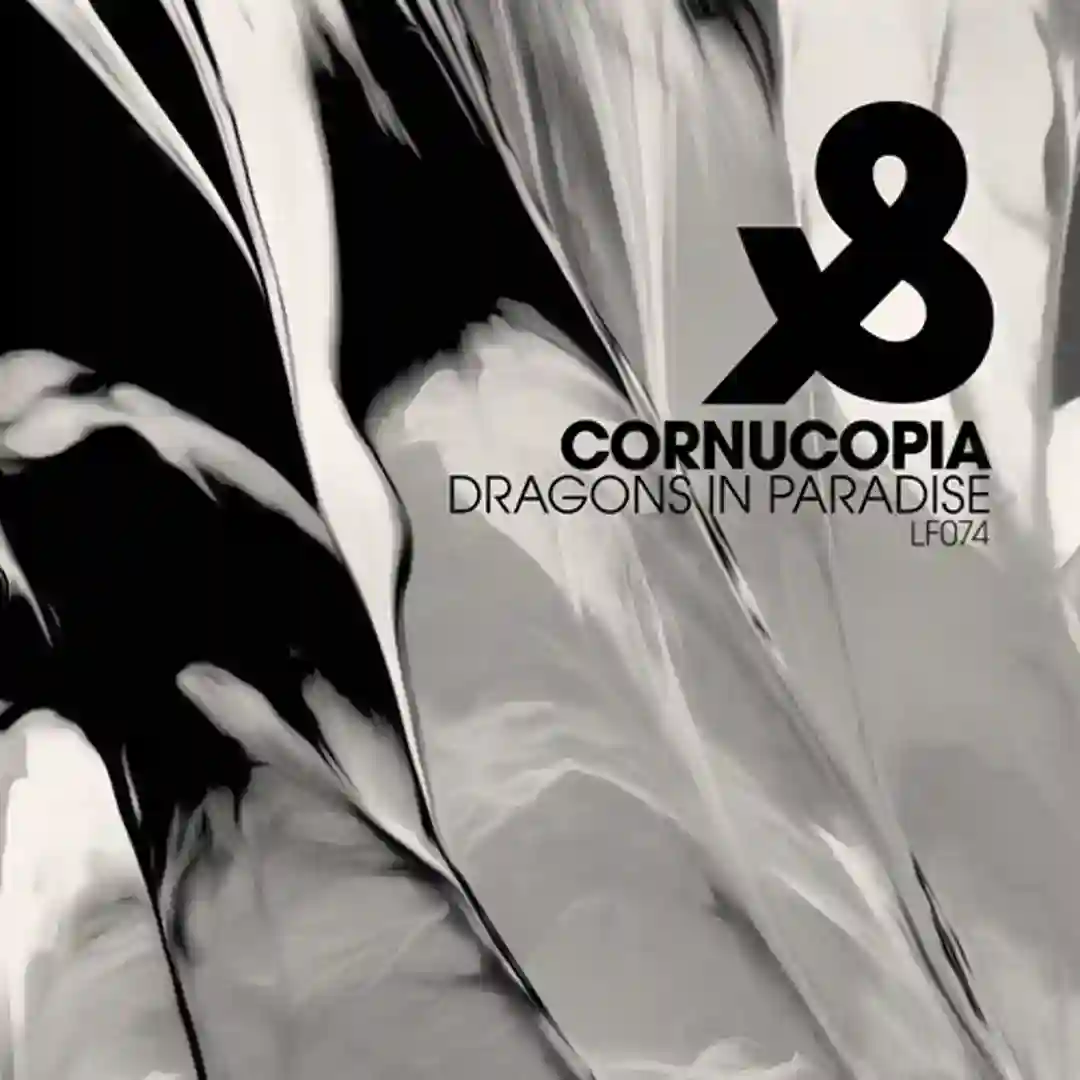 Dragons in Paradise (Original Mix) cover