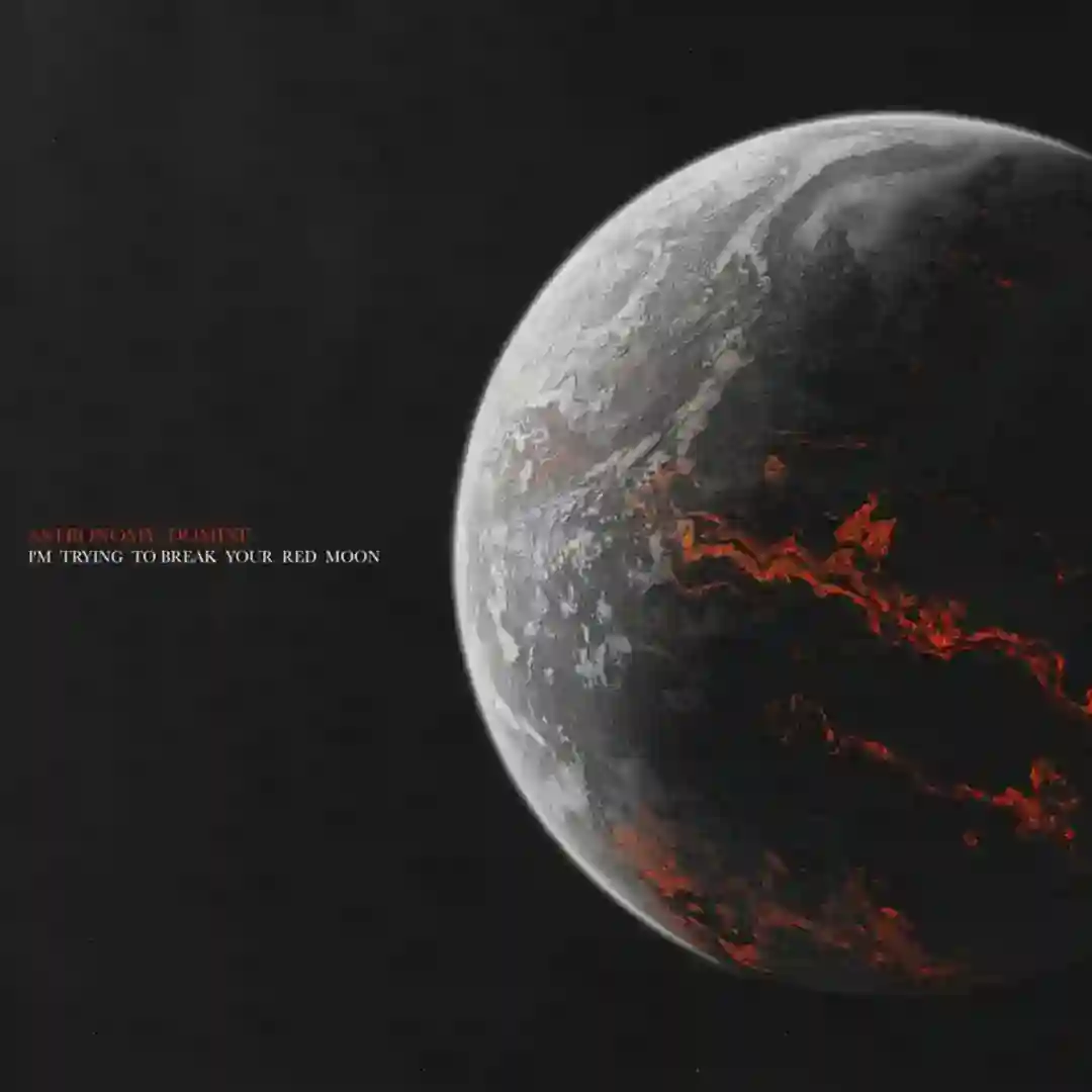 Dove Le Stelle Non Cadono (Original Mix) cover