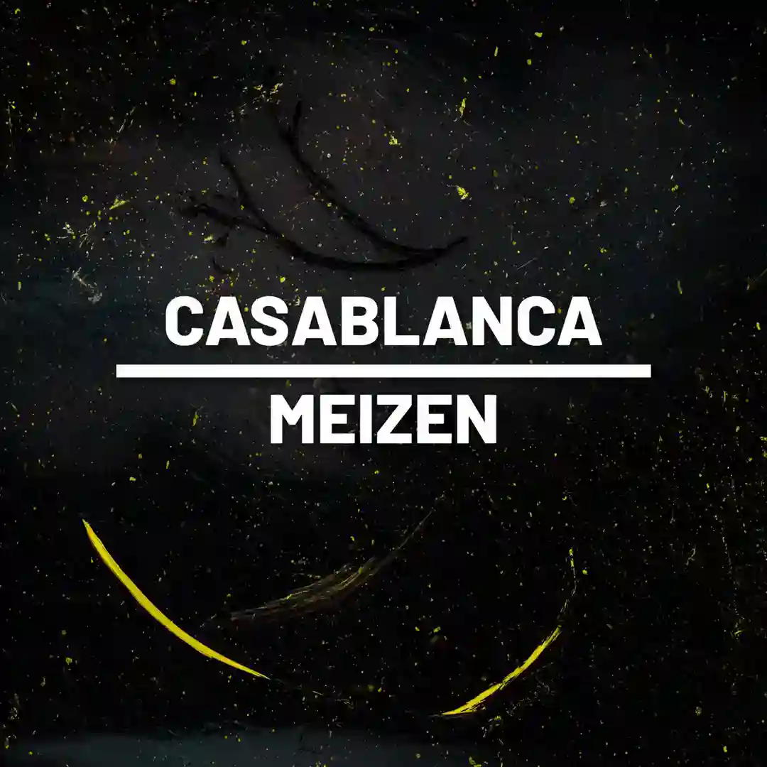 Magnis (Original Mix) cover
