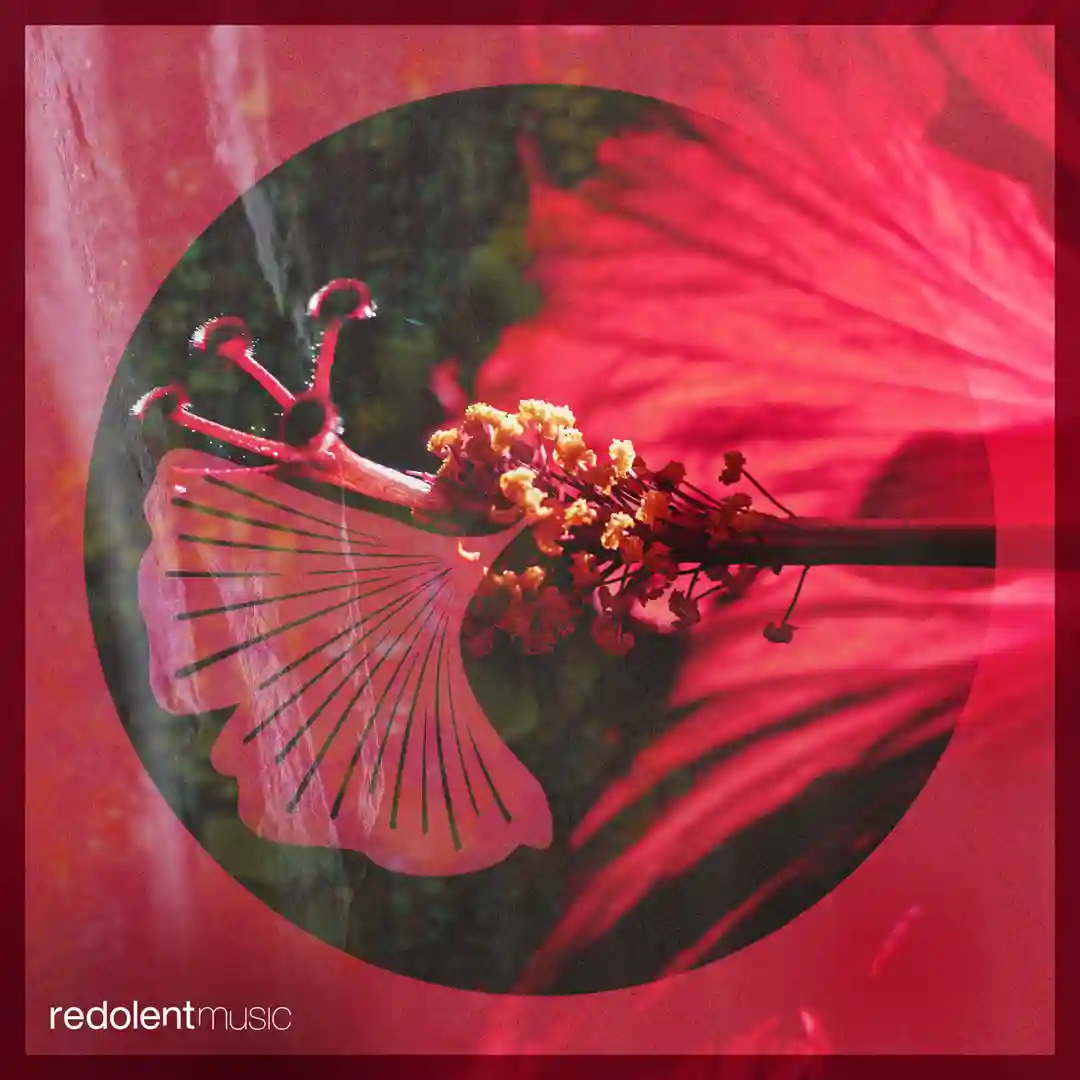 Prado's Revenge (Aaron Sevilla Remix) cover