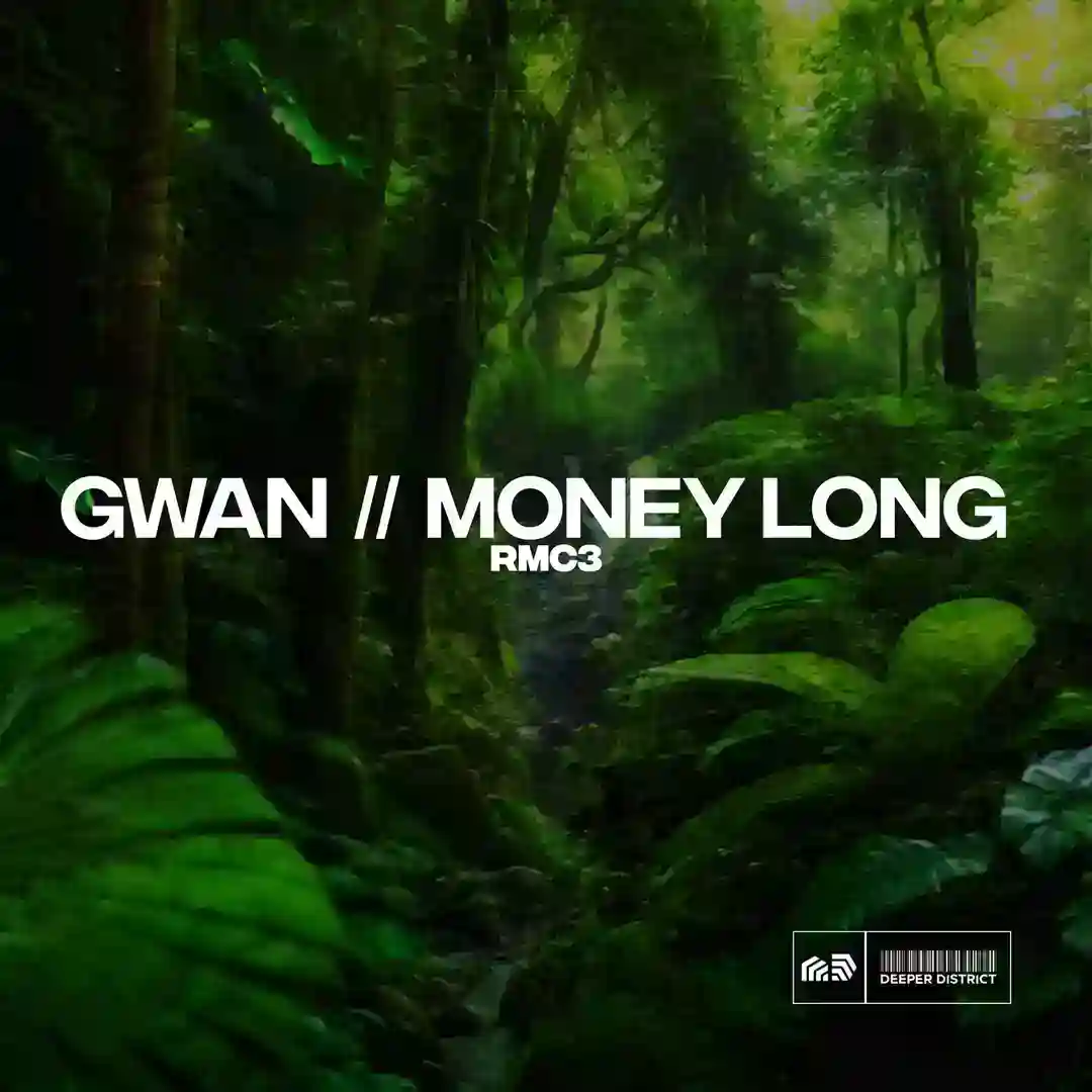 Money Long (Original Mix) cover
