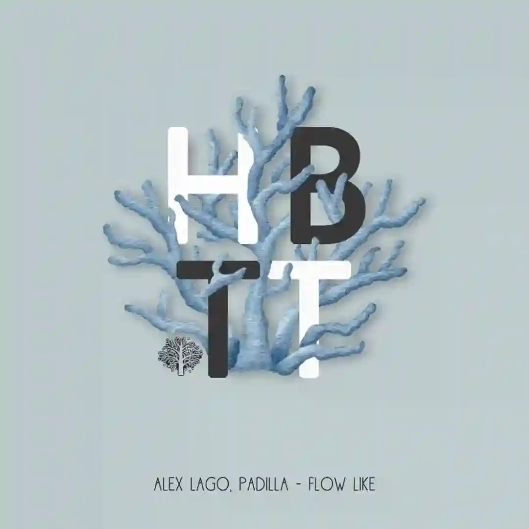 Never Know cover