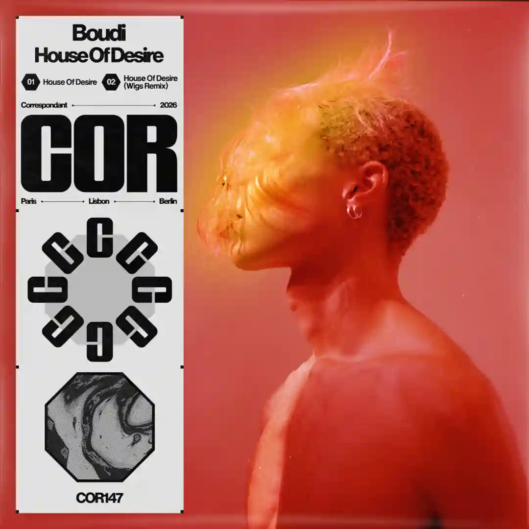 House Of Desire (Wigs Remix) cover