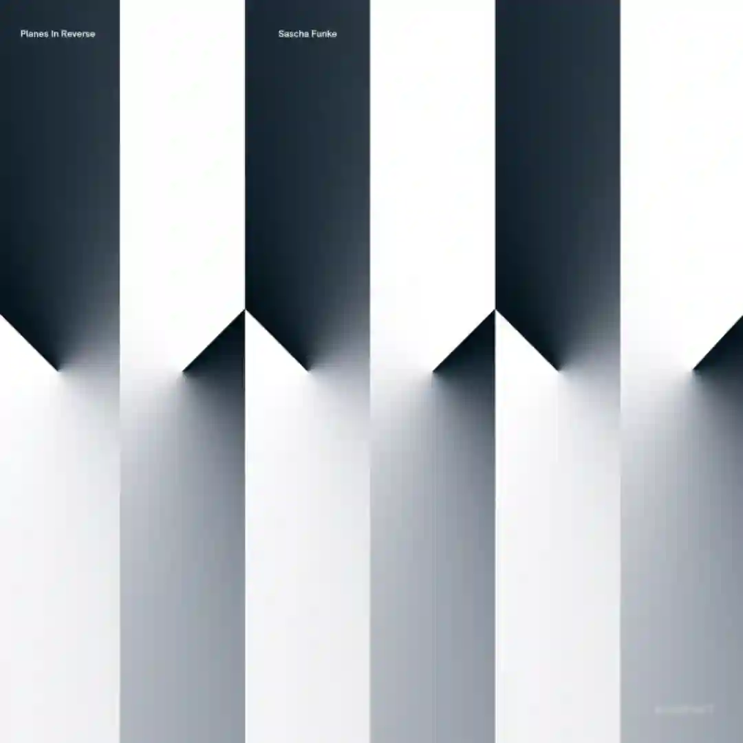 Planes in Reverse (Original Mix) cover