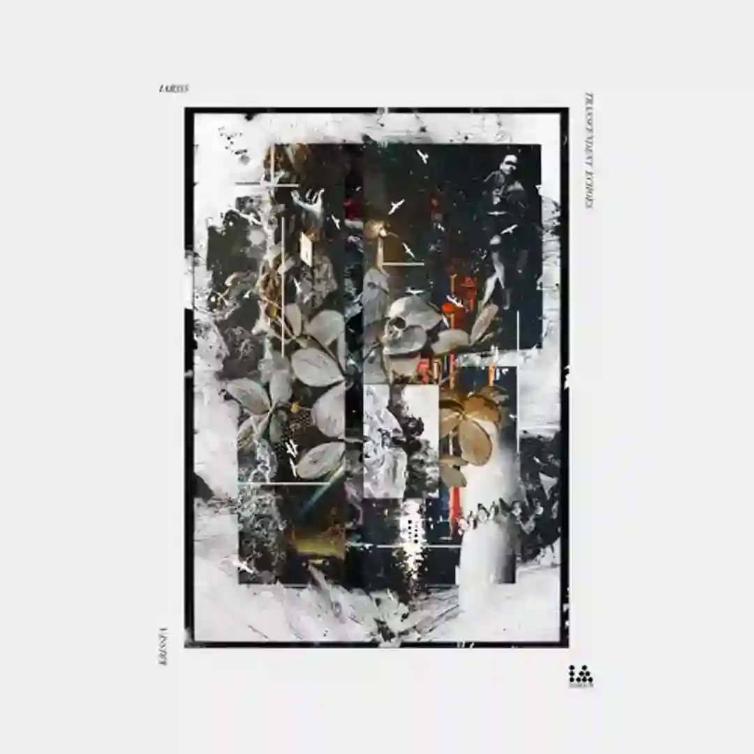 Aural Anomaly cover