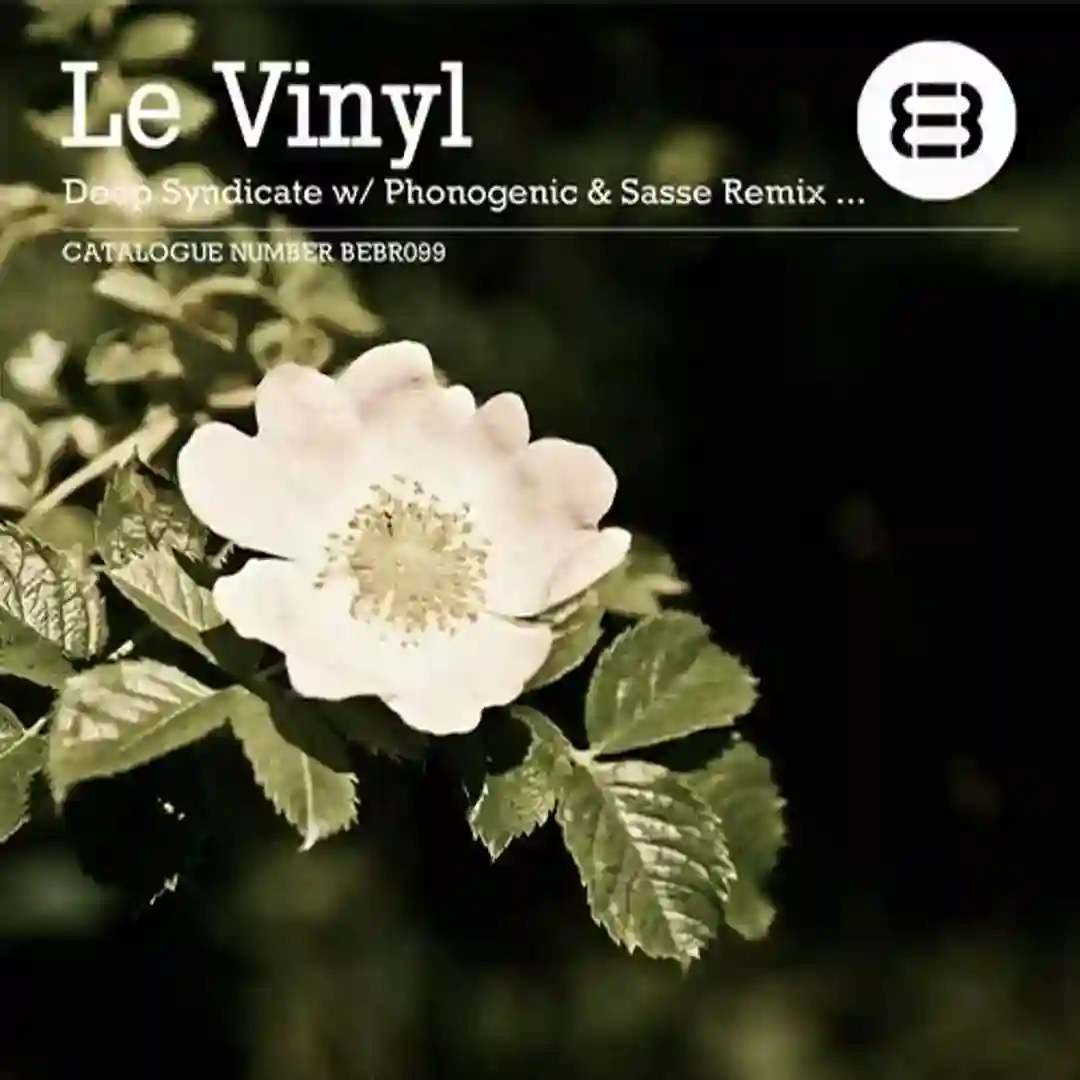 Le Vinyl - Deep Syndicate (Original Mix) cover
