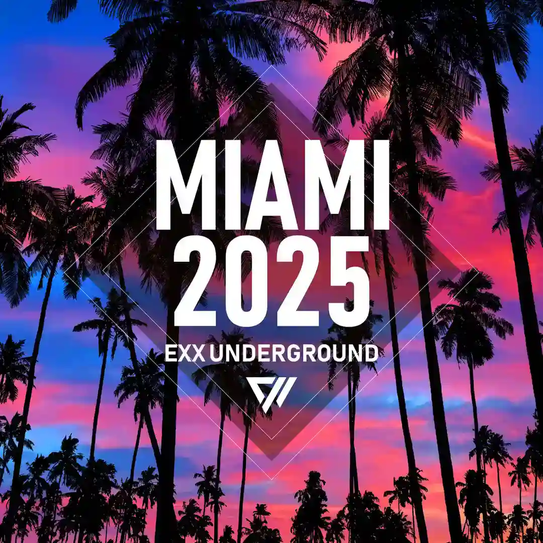 Set Dest (Original Mix) cover