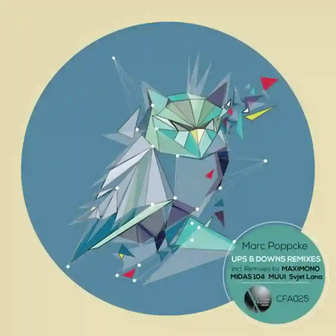 Ups & Downs Remixes cover