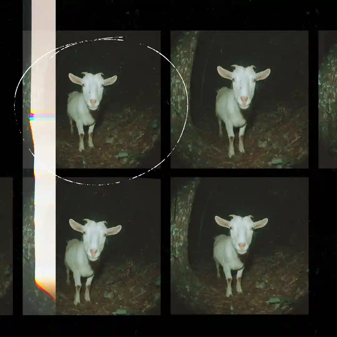 Scary Goat (Original Mix) cover