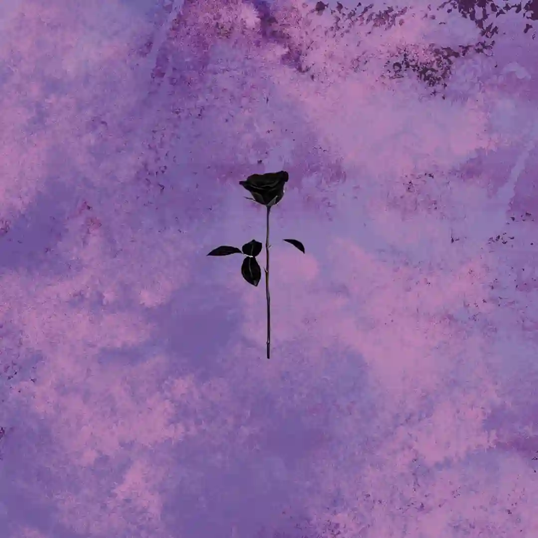 The Last (Original Mix) cover