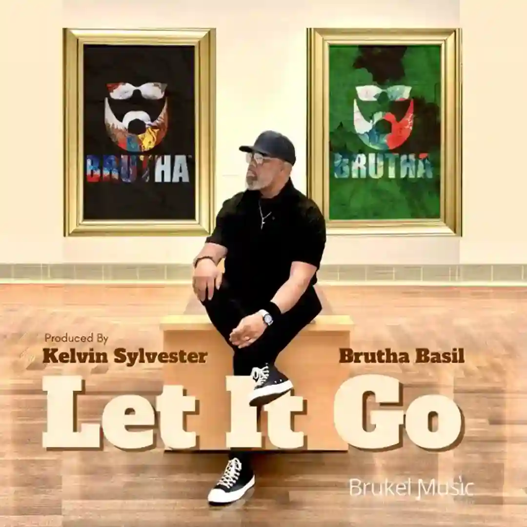 Let It Go cover