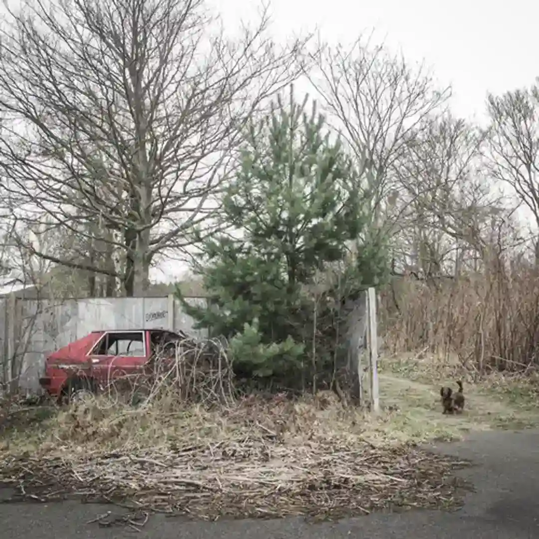 Specimen (Original Mix) cover