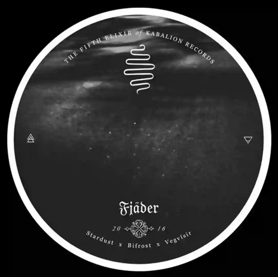 Stardust (Original Mix) cover