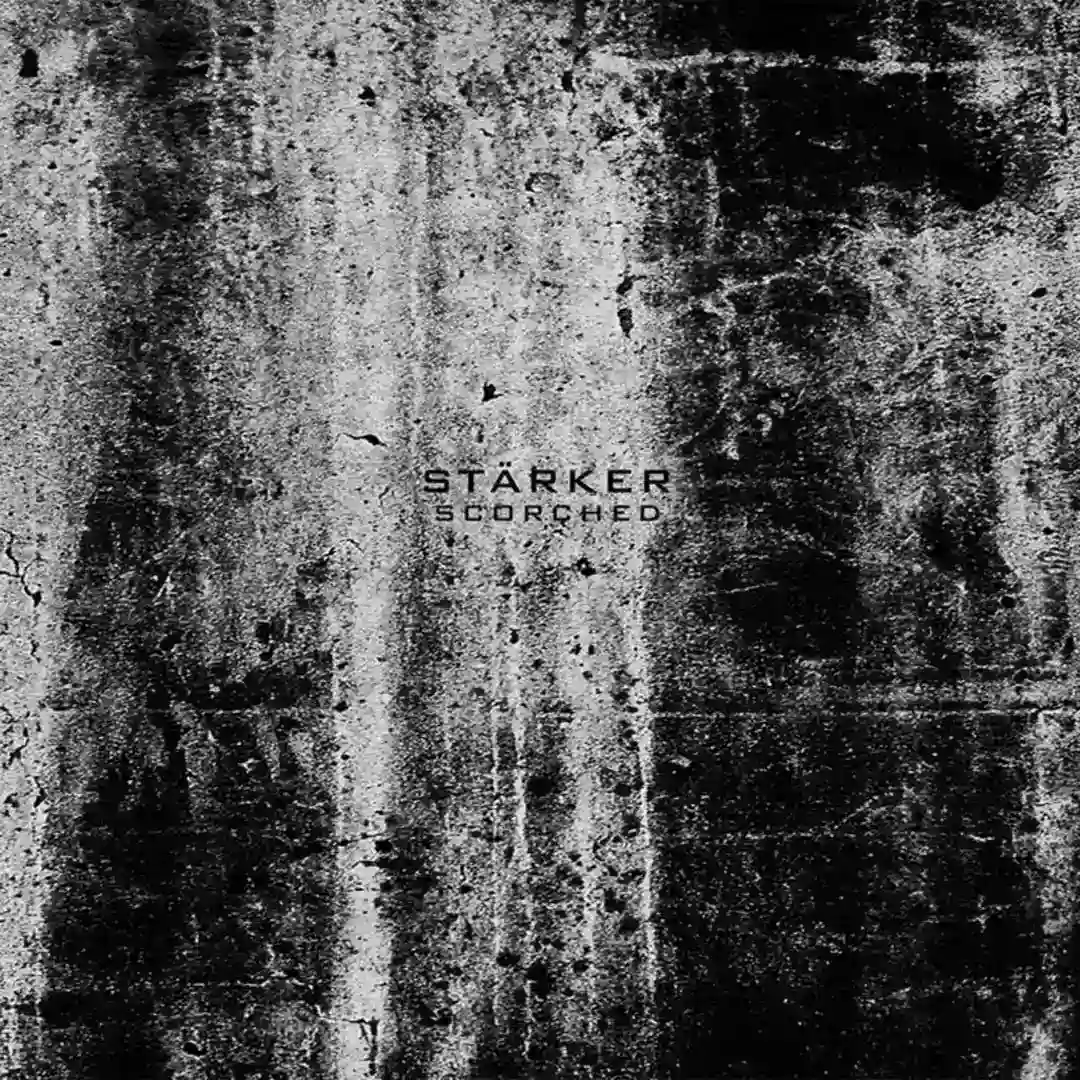 Dismal cover