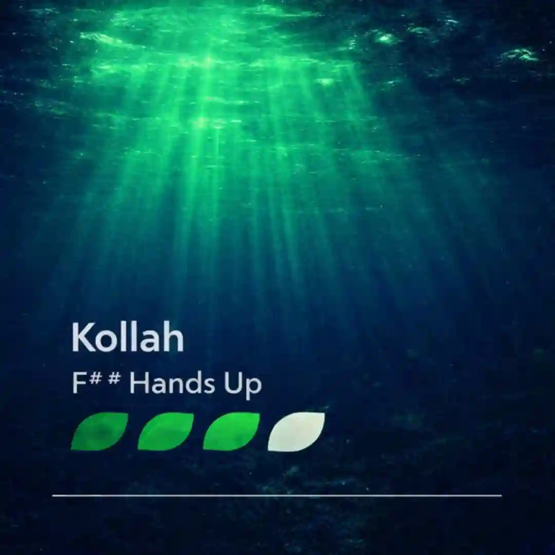 F## Hands Up cover