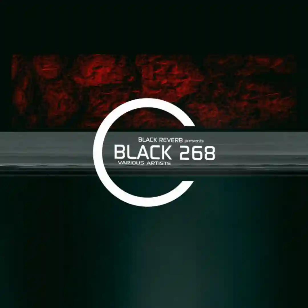 Machine Plain (Maria Sanguijo Remix) cover