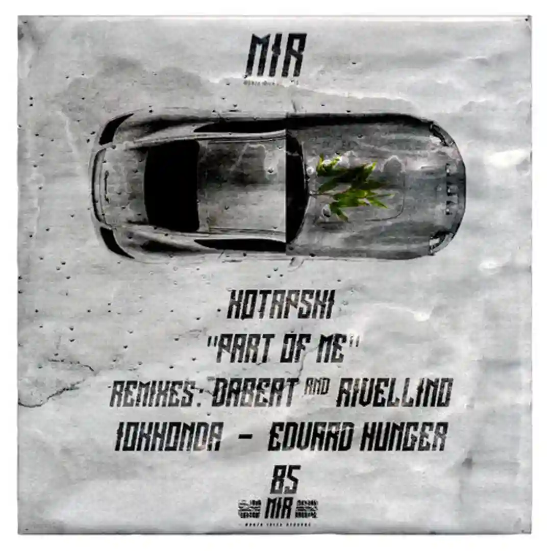 Part of Me (Iokhonda Remix) cover