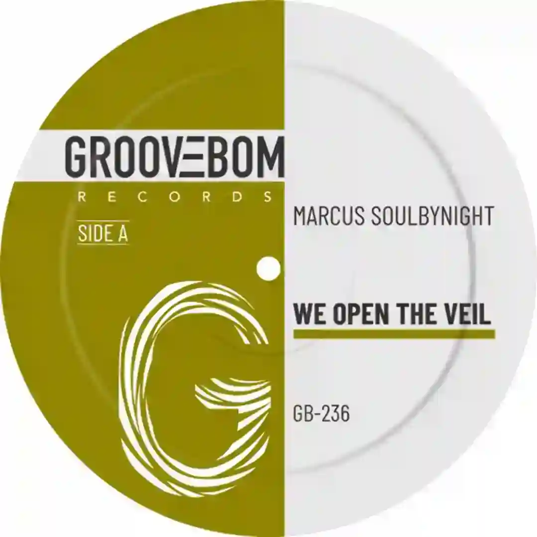 We Open The Veil cover