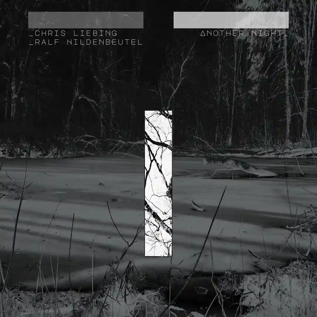 Circles feat. Tom Adams (Jan Blomqvist Remix) cover