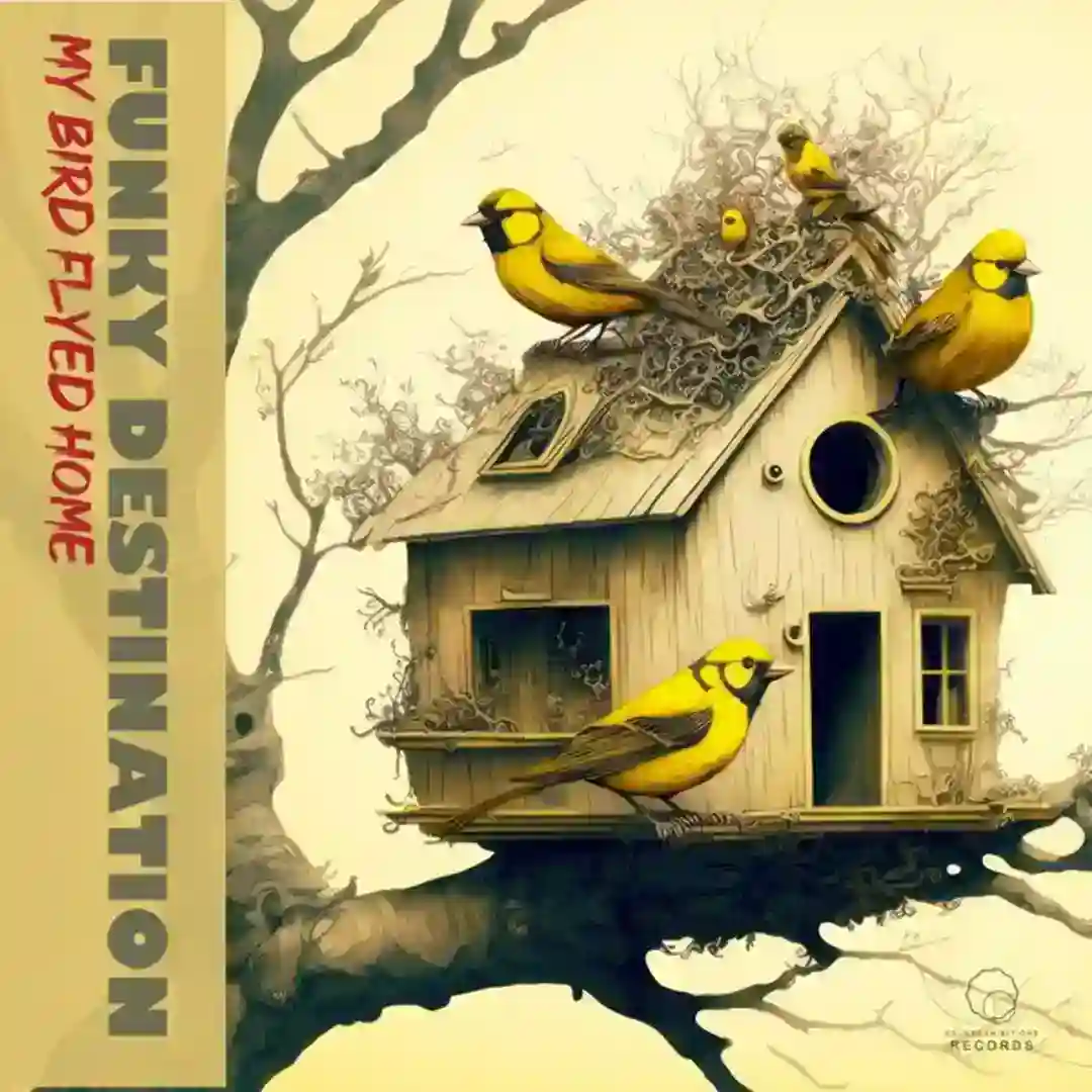 My Bird Flyed Home (Radio Instrumental) cover