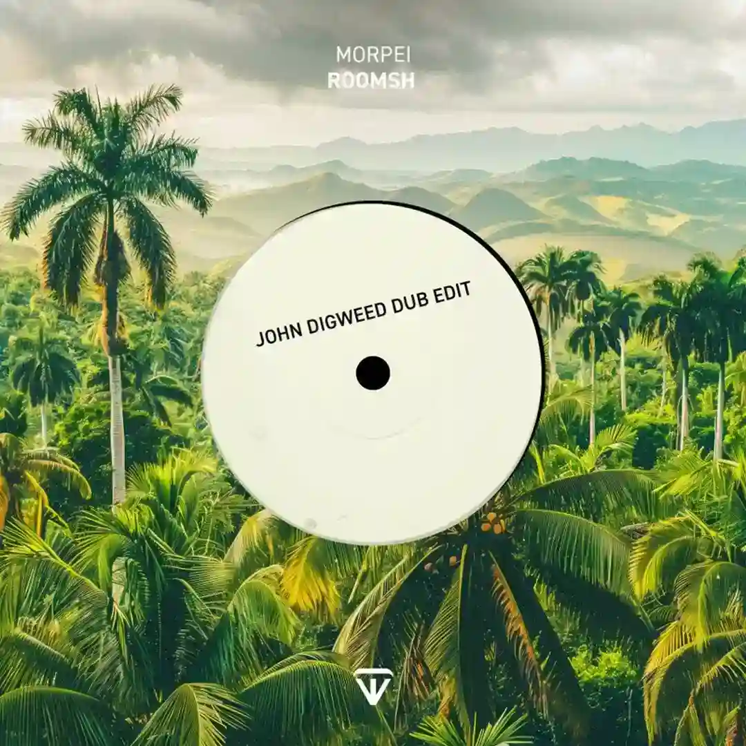 Roomsh (John Digweed Dub Edit) cover