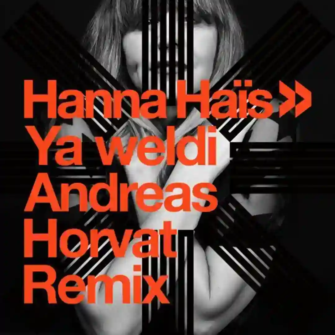 Ya Weldi (Andreas Horvat Remix) cover
