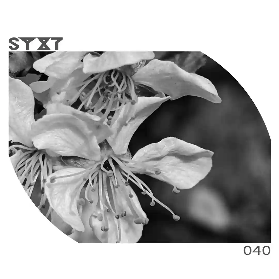 Kocha (Original Mix) cover