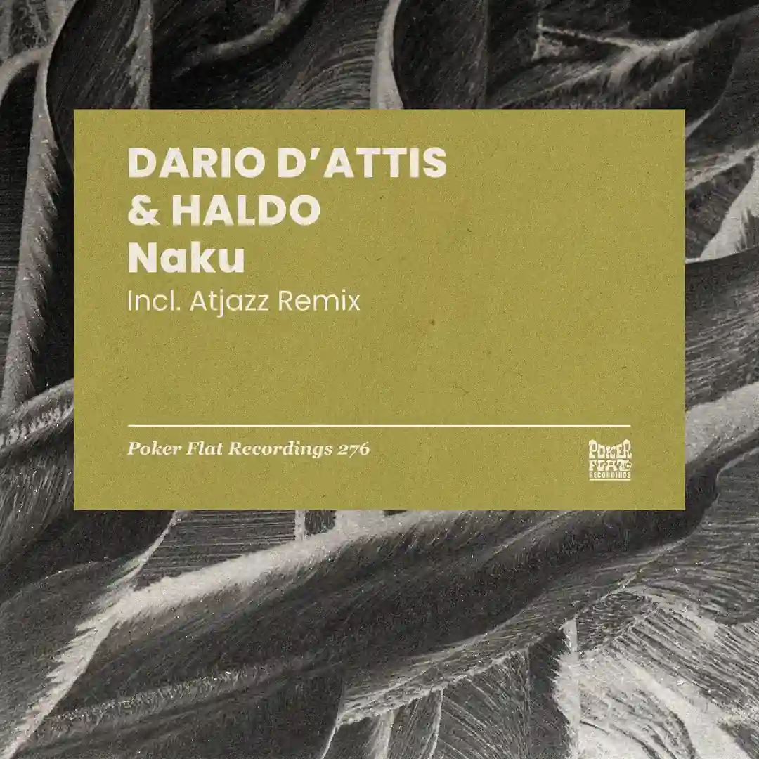 Naku (Atjazz Galaxy Aart Dub) cover