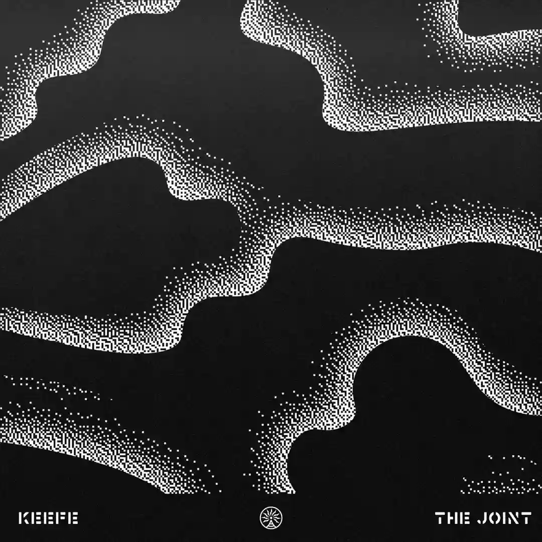 The Joint (Original Mix) cover