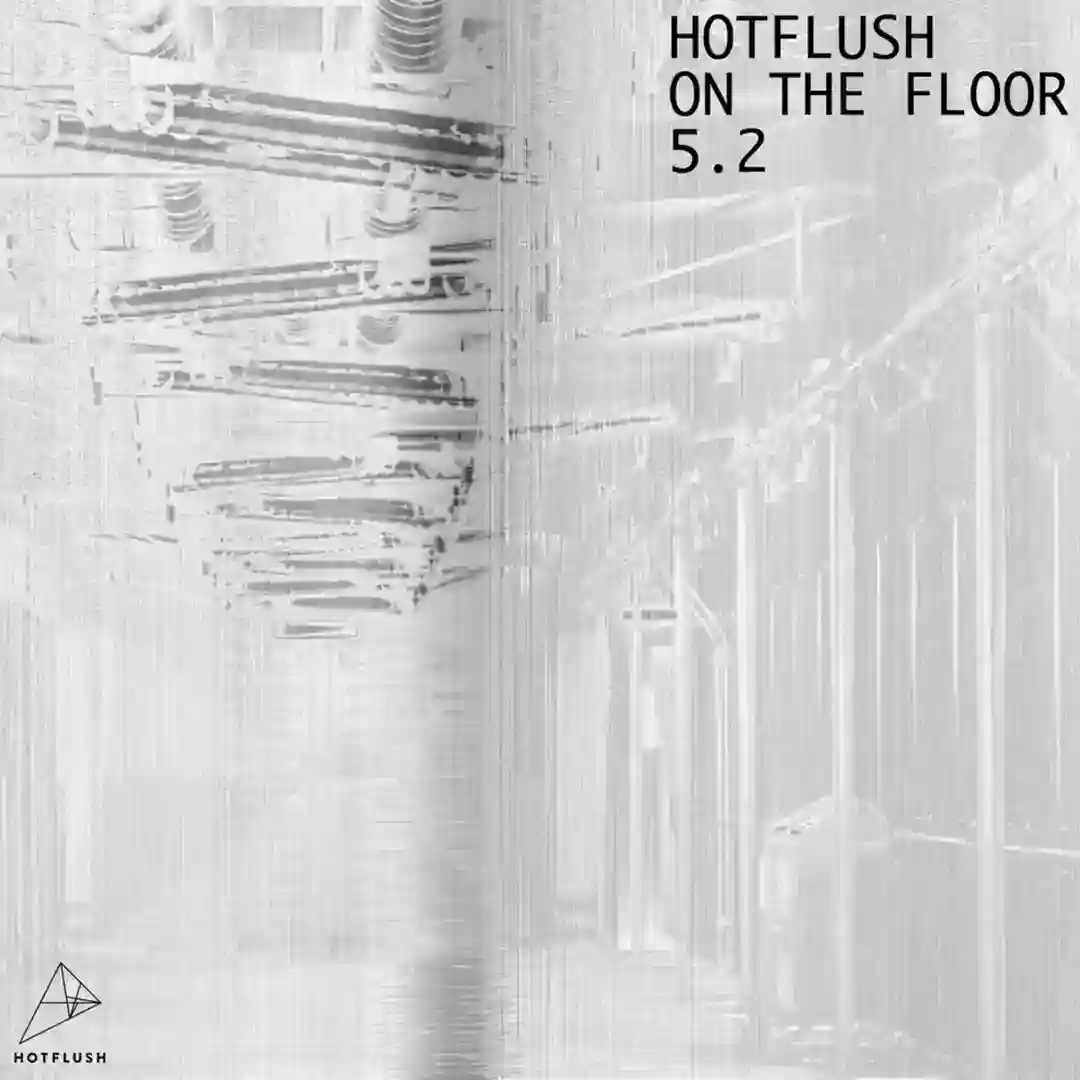 Querschläger feat. Malwina (Planetary Assault Systems Remix) cover