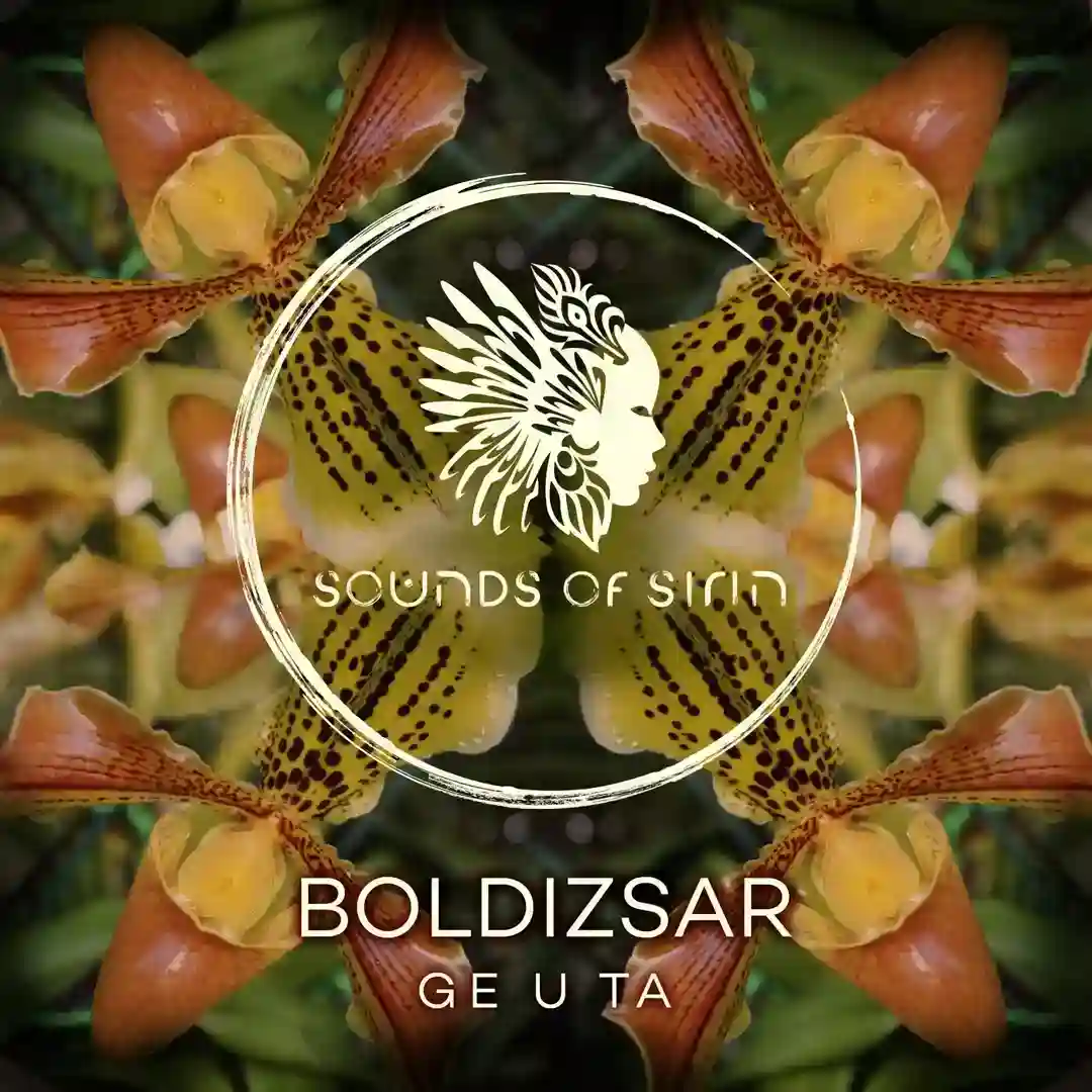 Somali (Extended Mix) cover