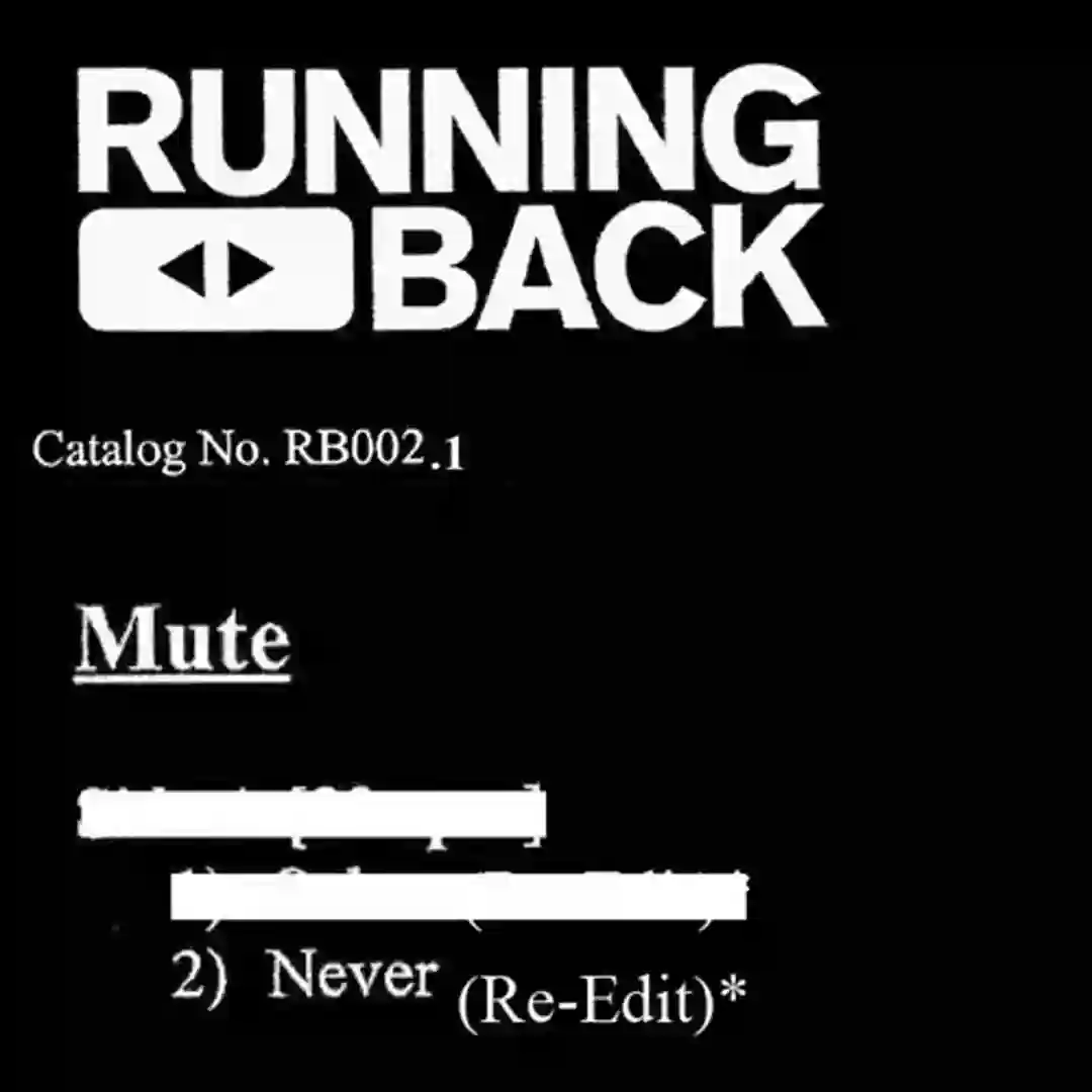Never (Gerd Janson Edit) cover