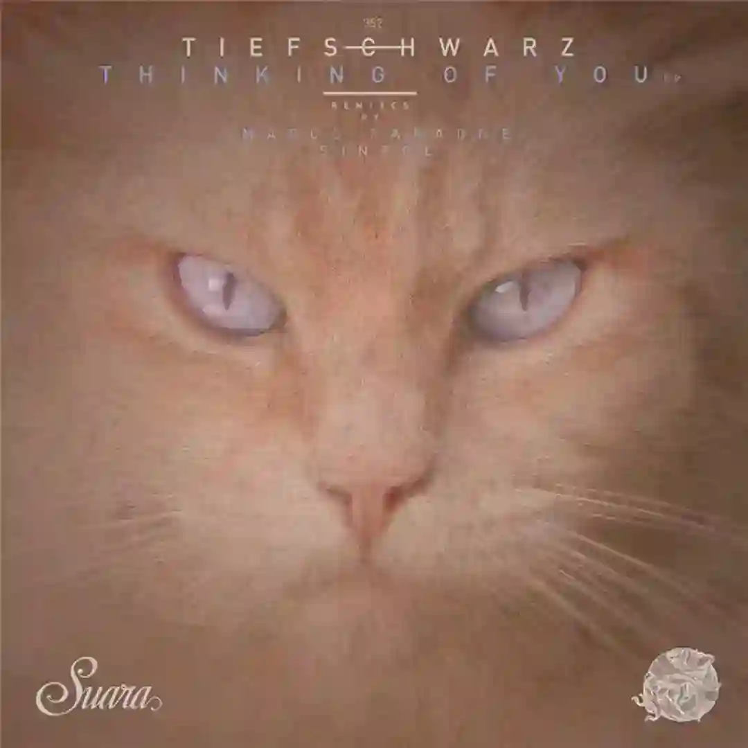 Thinking Of You (Sinfol Remix) cover