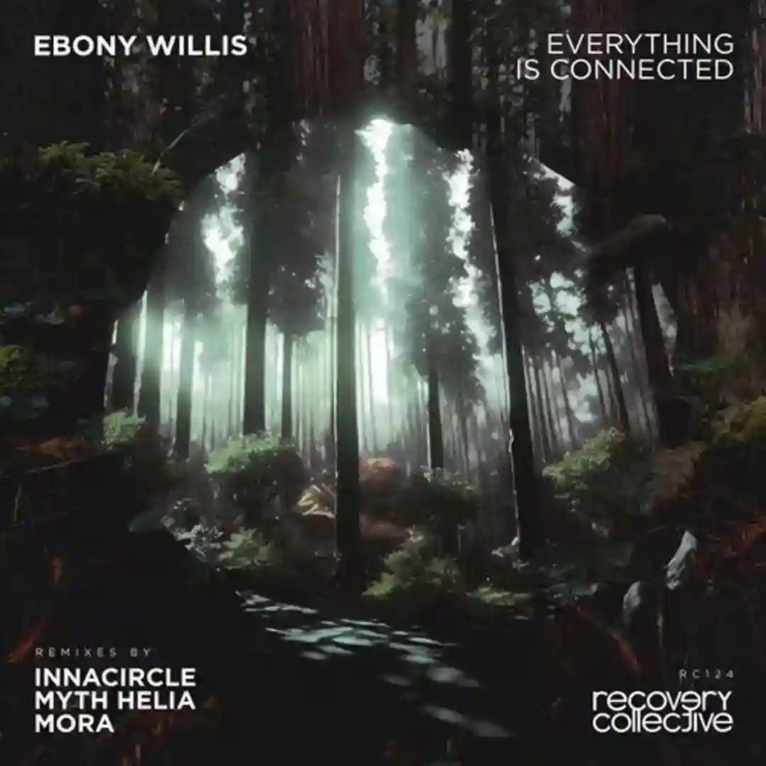 Everything Is Connected (Mora Remix) cover