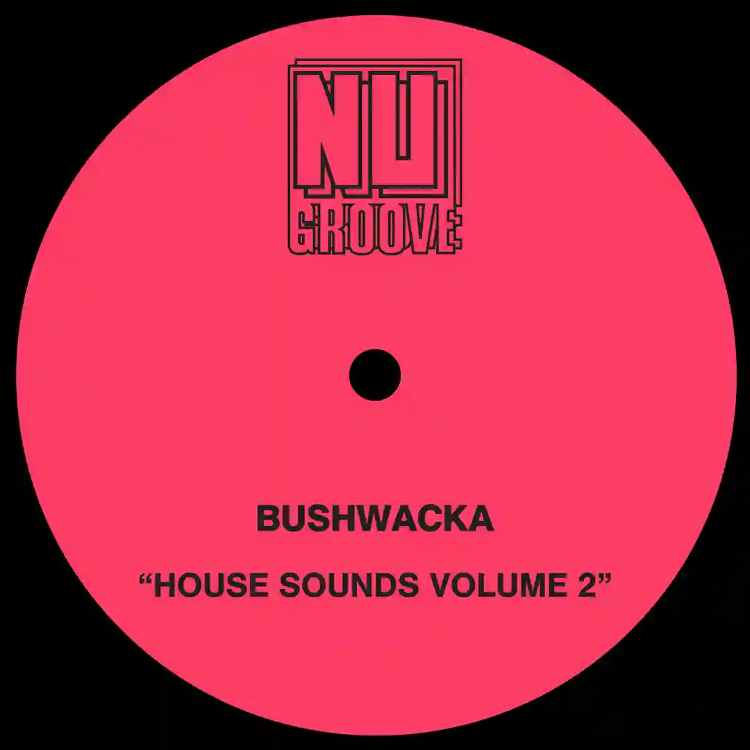 House Muzik (Original Mix) cover