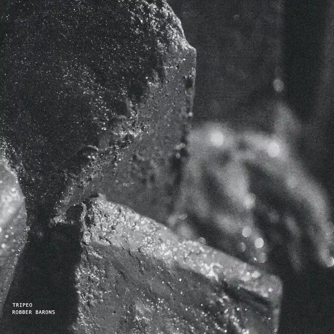 Robber Barons (Original Mix) cover