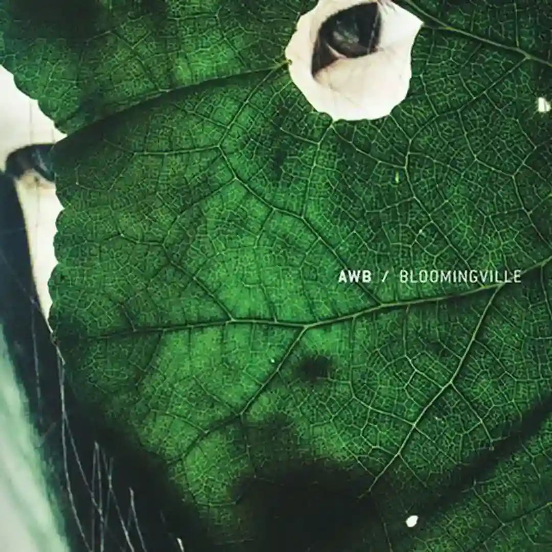 Photosynthesis (Original Mix) cover