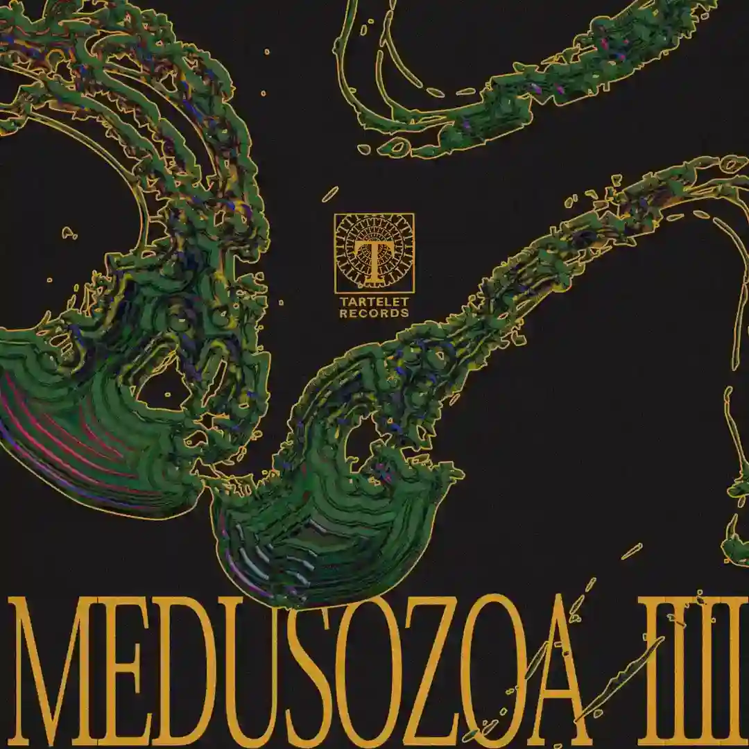 Marginalia (Original Mix) cover