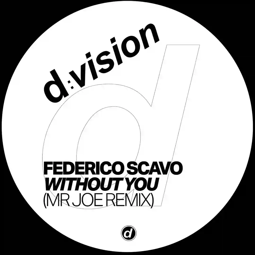 Without You (Mr Joe Extended Remix) cover