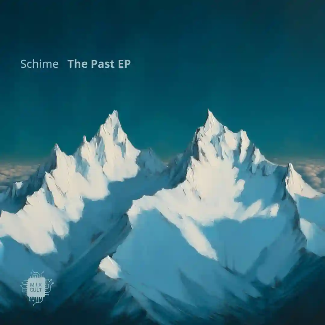The Past cover