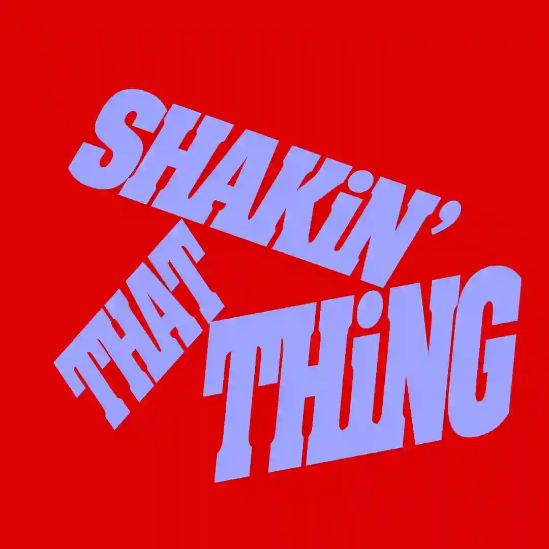 Shakin' That Thing (Extended Mix) cover