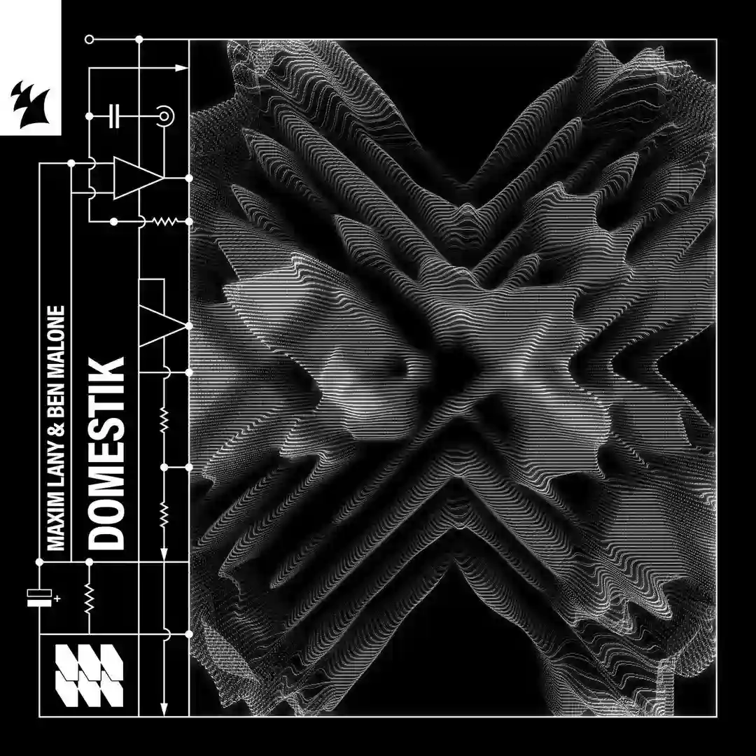 Domestik (Extended Mix) cover