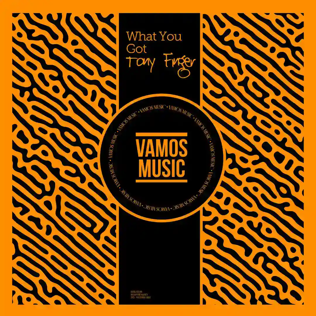 What You Got (Alternative Mix) cover