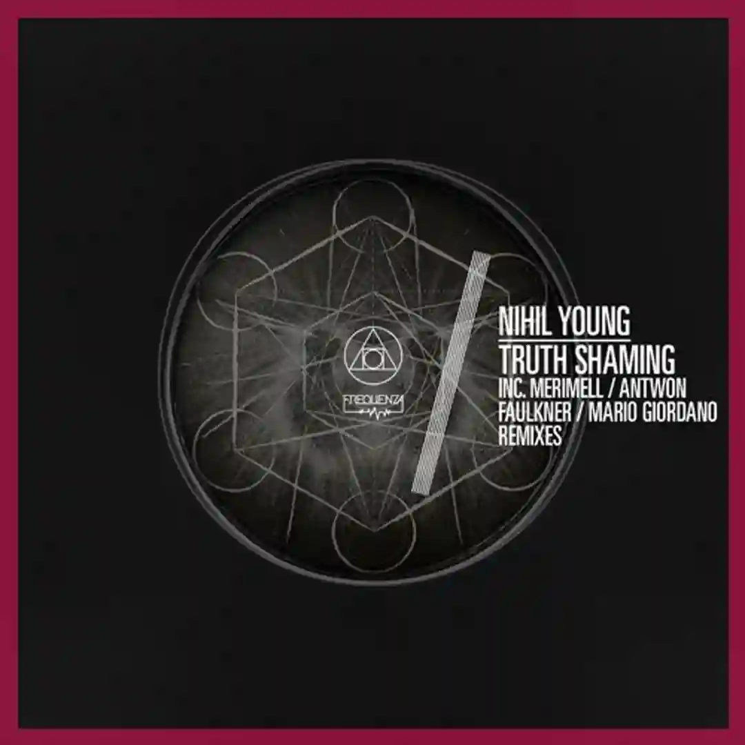 Truth Shaming cover