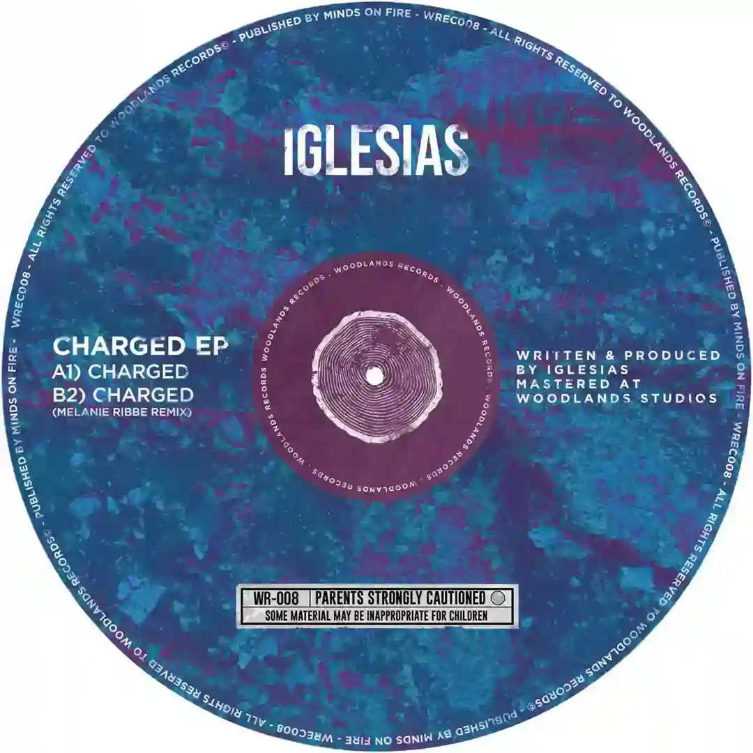 Charged (Melanie Ribbe Remix) cover