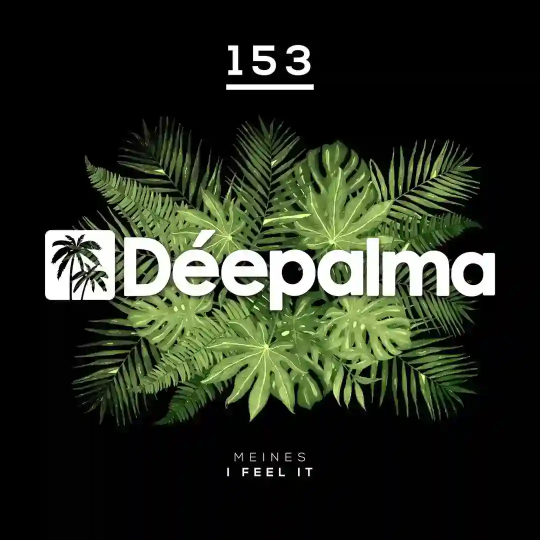 I Feel It cover
