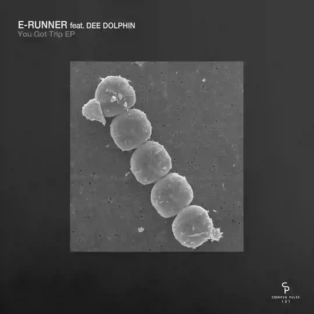 Linear Signals cover